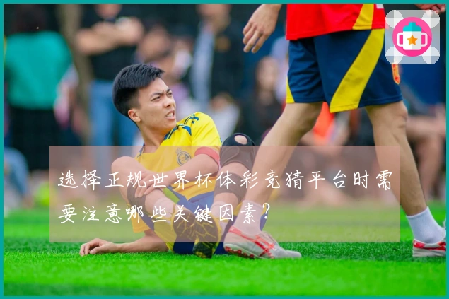 选择正规世界杯体彩竞猜平台时需要注意哪些关键因素？