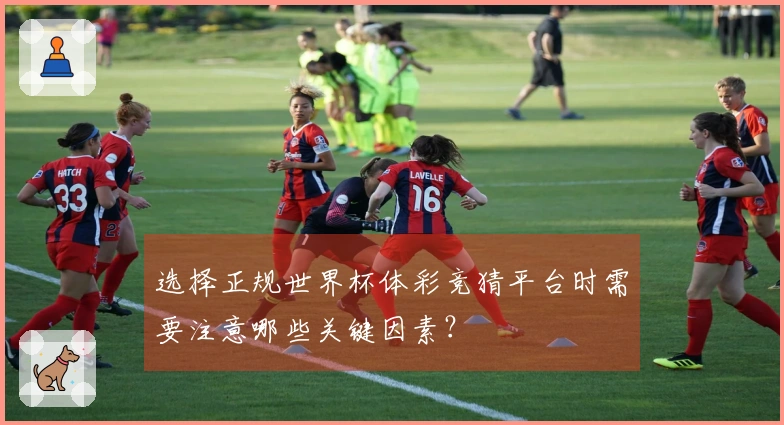 选择正规世界杯体彩竞猜平台时需要注意哪些关键因素？