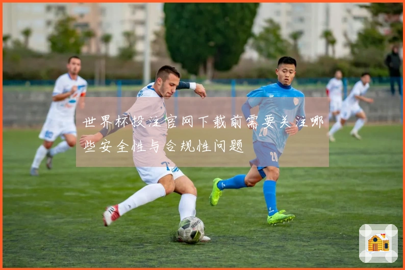 世界杯投注官网下载前需要关注哪些安全性与合规性问题